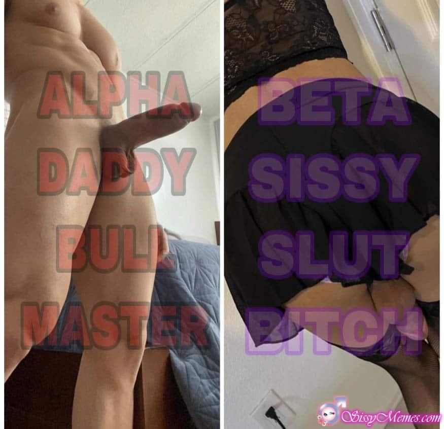 Hypno Daddy hotwife caption: ALPHA DADDY BULL MASTER – BETA SISSY SLUT BITCH Beta Boy Craving Anal Fun