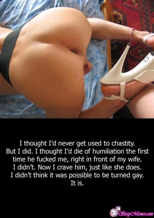 Sissygasm Porn Femboy Anal sissy caption: I thought I’d never get used to chastity. But I did. I thought I’d die of humiliation the first time he fucked me, right in front of my wife. I didn’t. Now I crave him, just like she does. I...