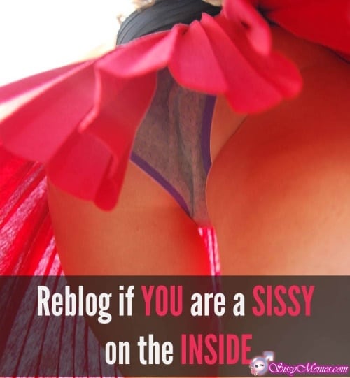 Hypno Feminization hotwife caption: Reblog if YOU are a SISSY on the INSIDE Panties Under the Skirt of a Slender Girl