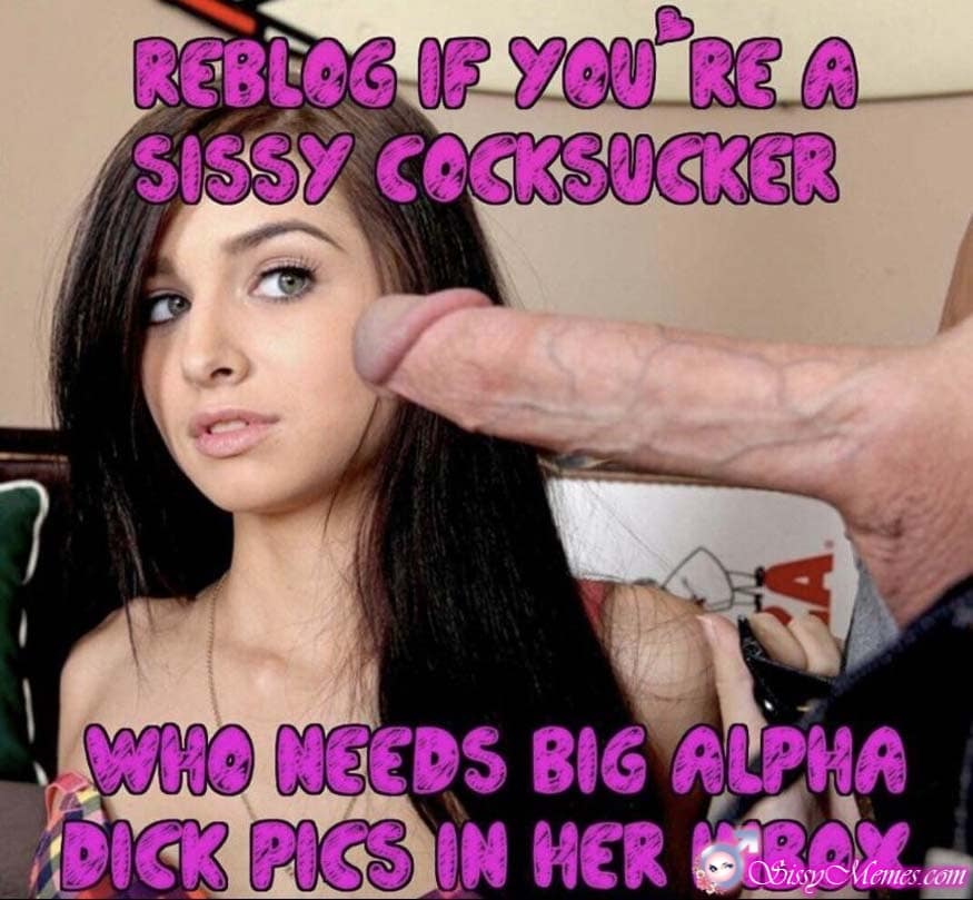 Hypno Blowjob hotwife caption: REBEOG IF YOU’RE A SISSY COCKSUCKER 7 WHO NEEDS BIG ALPHA DICK PICS IN HER INBOX huge cock vs sissy Alpha Big Dick for Beta Boy