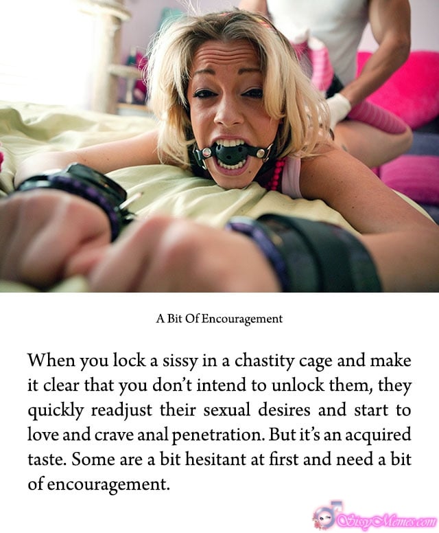 Porn Humiliation Forced Anal sissy caption: A Bit Of Encouragement When you lock a sissy in a chastity cage and make it clear that you don’t intend to unlock them, they quickly readjust their sexual desires and start to love and crave anal penetration. But it’s...