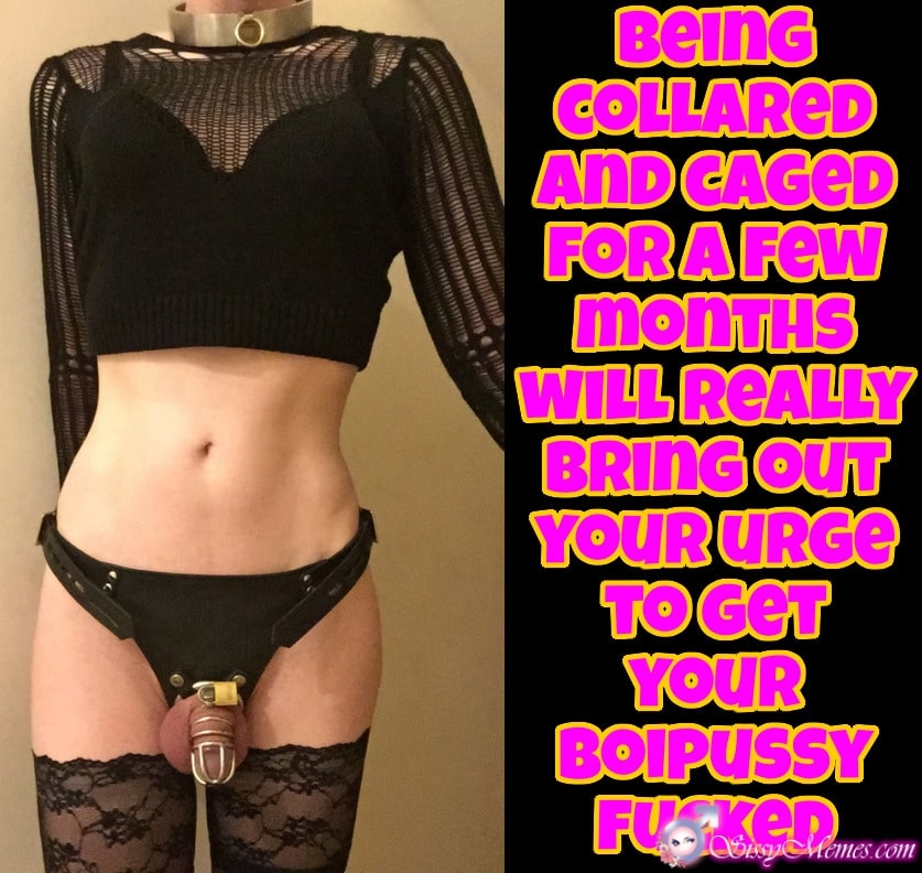 Feminization Femboy Chastity hotwife caption: COLLARED AND CAGED FOR A FEW MONTHS WILL REALLY BRING OUT YOUR URGE TO GET YOUR BOIPUSSY FUCKED Betaboy With Chastity Device