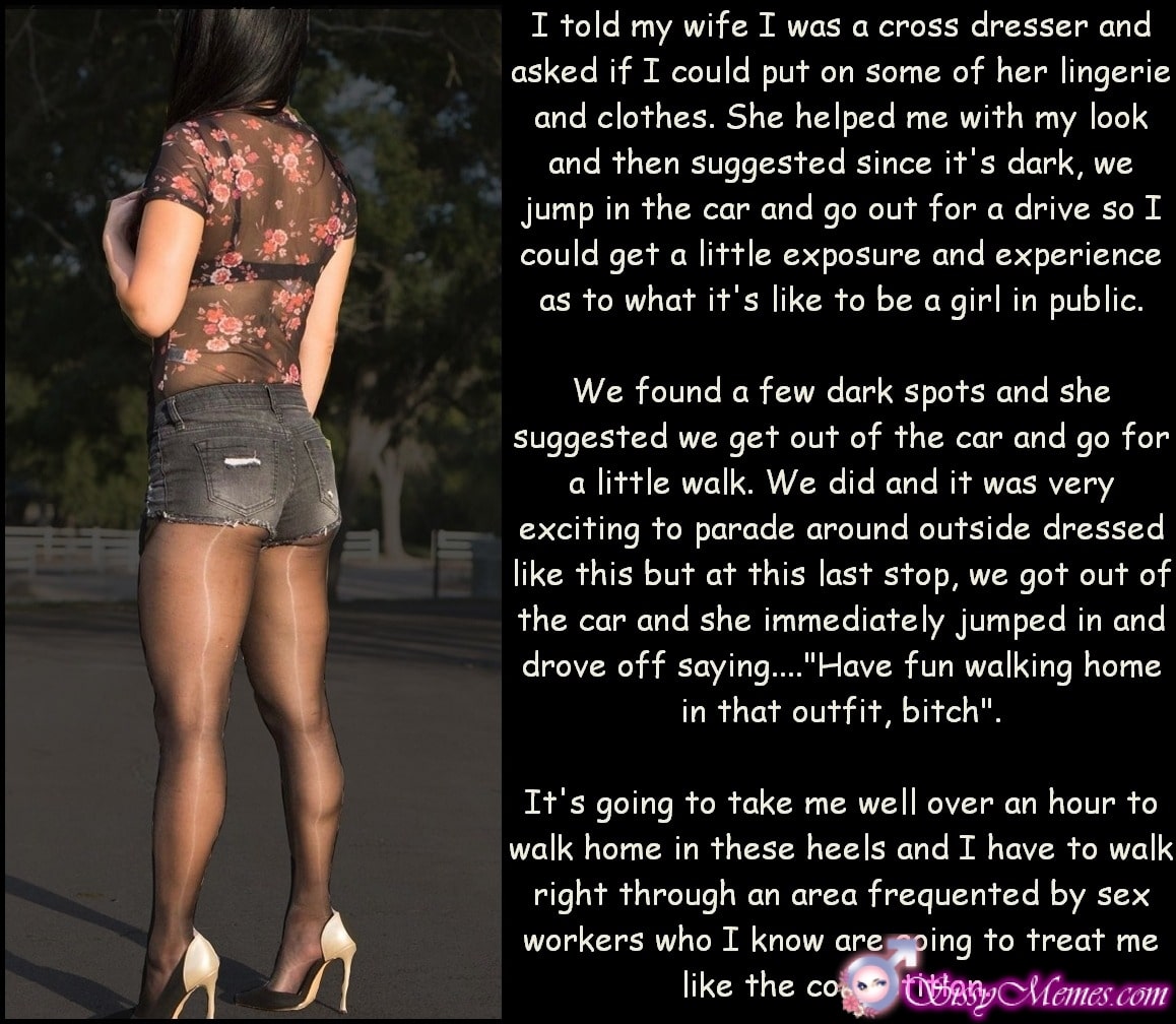 My Favorite Feminization Femboy sissy caption: I told my wife I was a cross dresser and asked if I could put on some of her lingerie and clothes. She helped me with my look and then suggested since it’s dark, we jump in the car and...